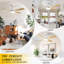 Ventilateurs de plafond avec lumières-2027251641-2027251640