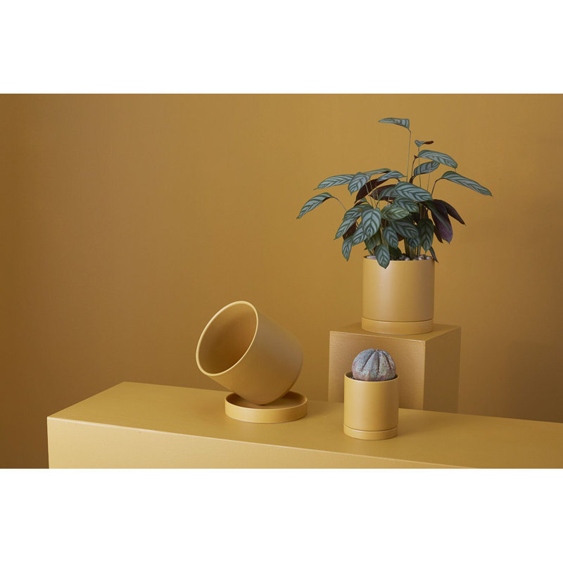 Pot de fleurs en céramique Carlotta, Ocre, H 4,75 po x l 4,25 po x P 4,25 po