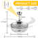 Dixxon 42'' Ceiling Fan with LED Lights