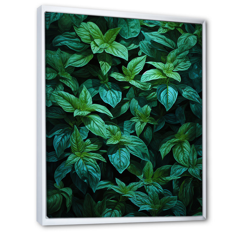 «Herbs Peppermint Breeze 5 - Floral Herbs», art mural, Cadre flottant blanc, 32" H x 24" W