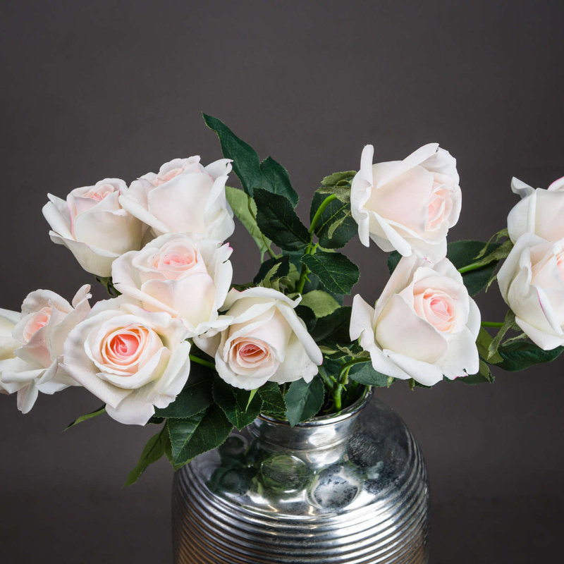Anastasija Arrangement