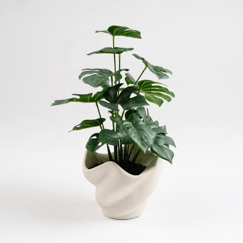 45cm Faux Variegated Monstera in Cement Shell Pot
