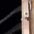 BathSelect Pulsating Massage Thermostatic Shower Panel – Wall-Mounted Multi-Function System with Rainfall Showerhead