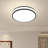 3.5x15" Acrylic LED Ceiling Lamp 