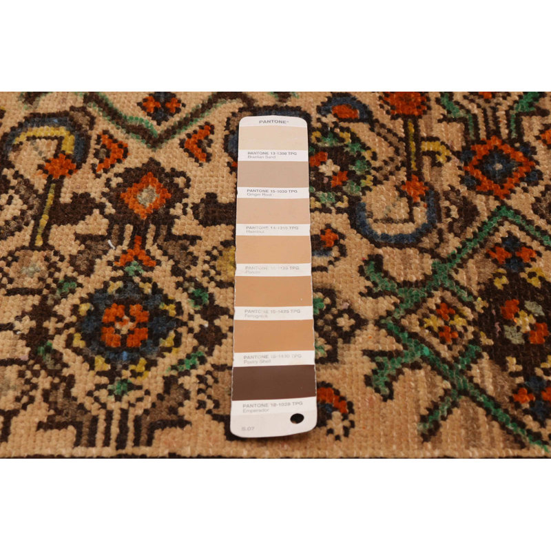 Tapis de couloir unique en laine 3 pi 3 po x 13 pi 4 po Aalish