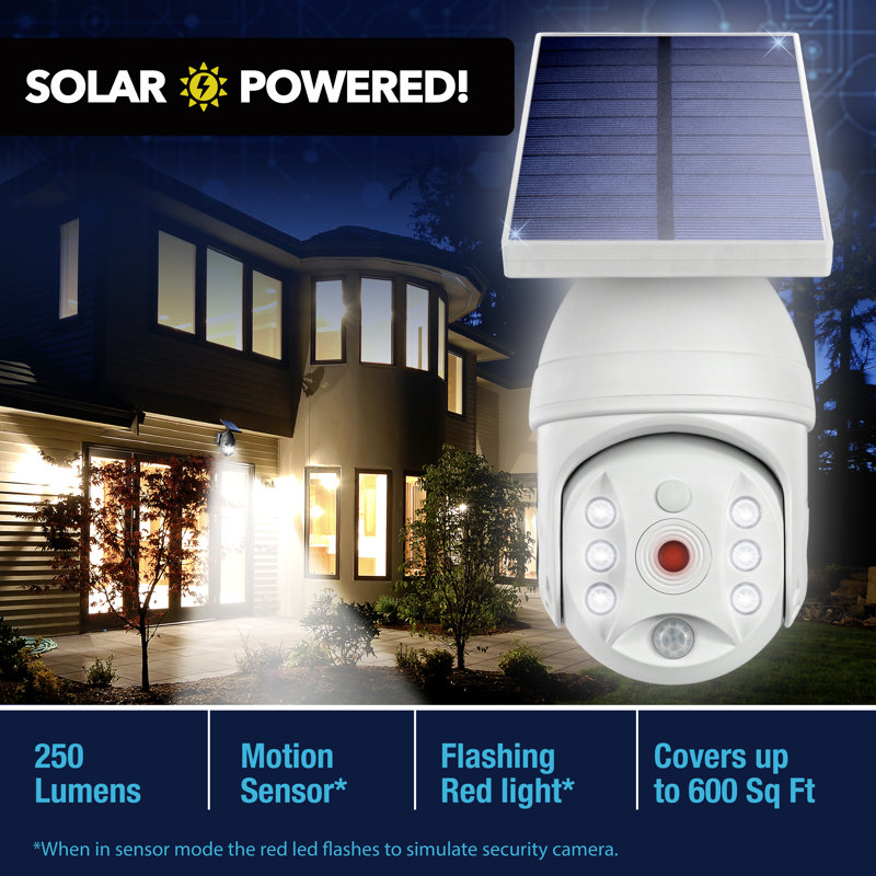 Projecteur solaire à DEL avec capteur de mouvement, Blanc