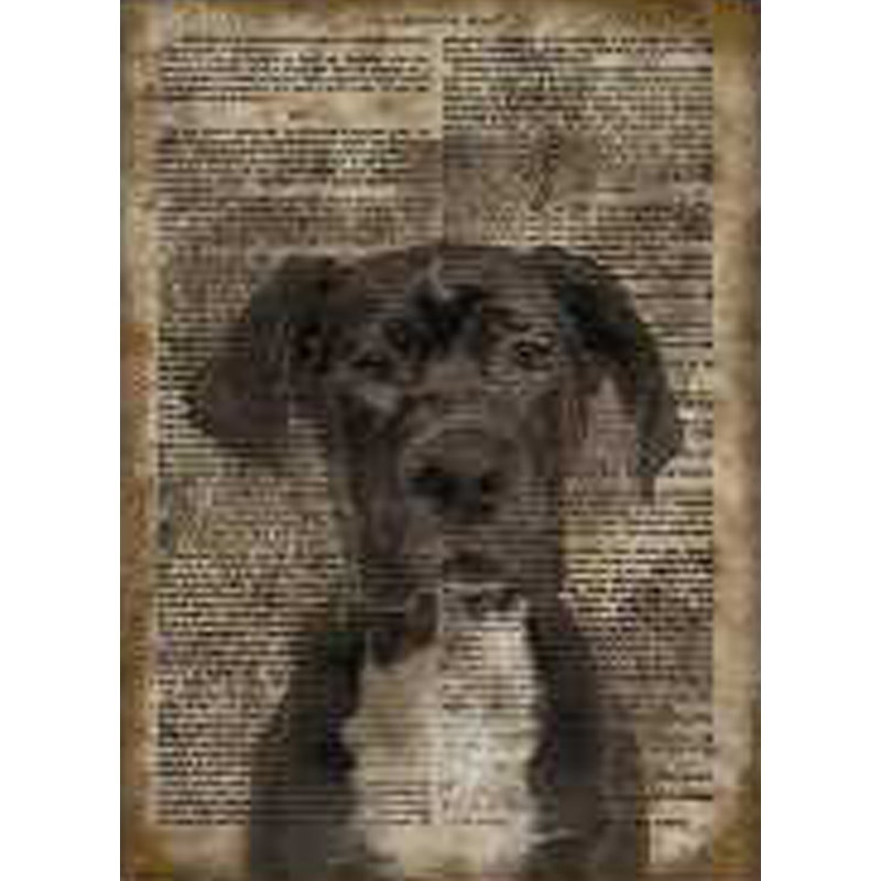 Great Dane Vintage Paper - No Frame Print, Gallery Metal, 39.4cm H x 29.5cm W
