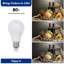 6W E27 LED GLS Light Bulb