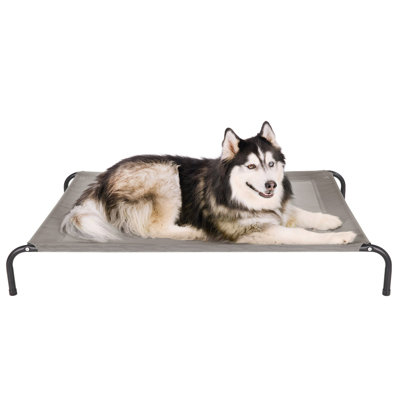 Elevated Cot Pet Bed