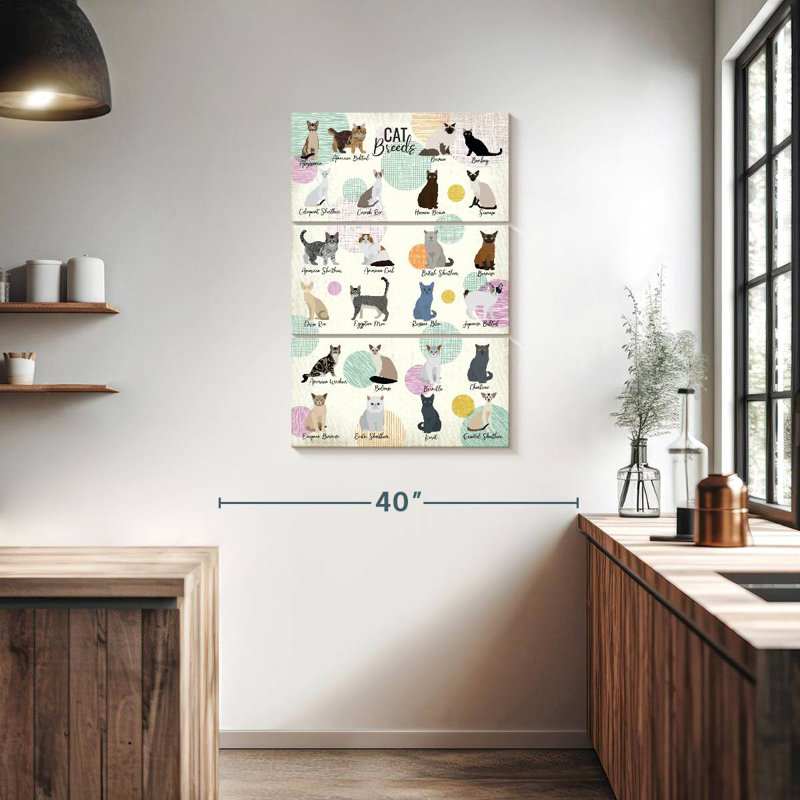 Brampt Cat Breeds Chart, 38" H x 24" W