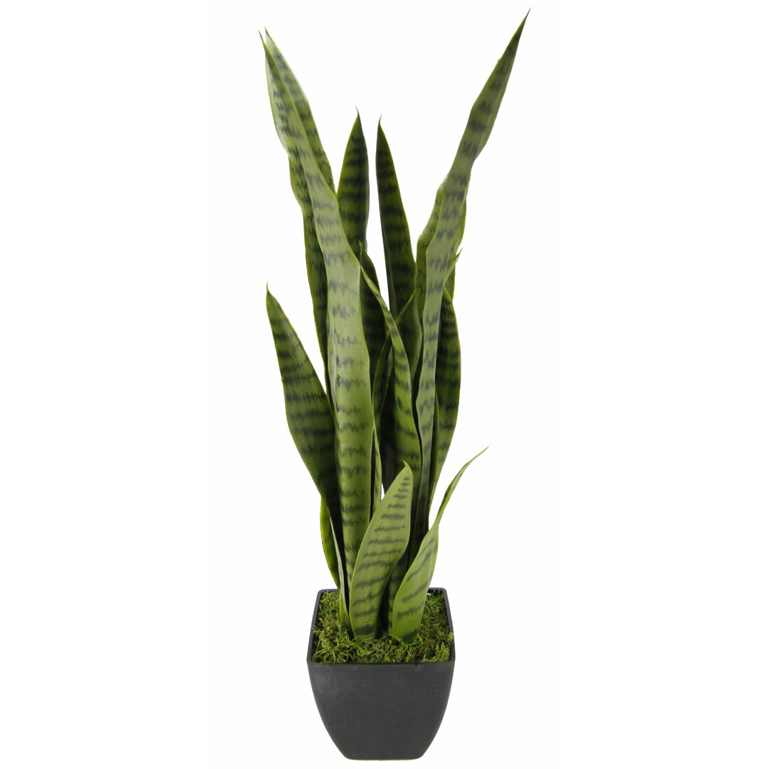 Boden-Kunstpflanze Sansevieria im Topf