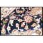 Walton Hand Woven Wool Oriental Area Rug