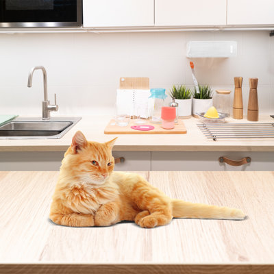 Tucker Murphy Pet Furniture Protector Pet Deterrent Tiles - Pet-Free Training Mat, Beige