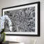 Karolis Janulis - Single Picture Frame Print-576213443