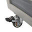 Small Animal