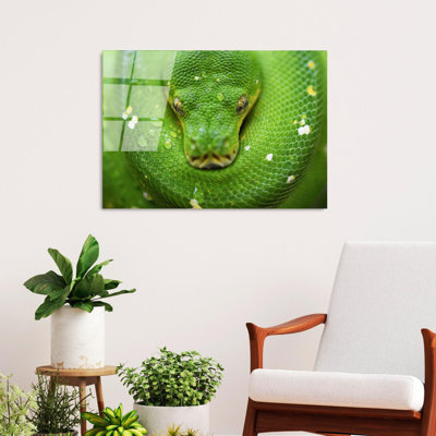 Boze Wall Decor