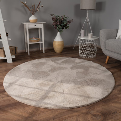 Aalexus Area Rug