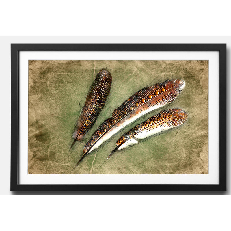 Streetart Feather Of Pheasan - Single Picture Frame Print, 44cm H x 64cm W x 2.2cm D
