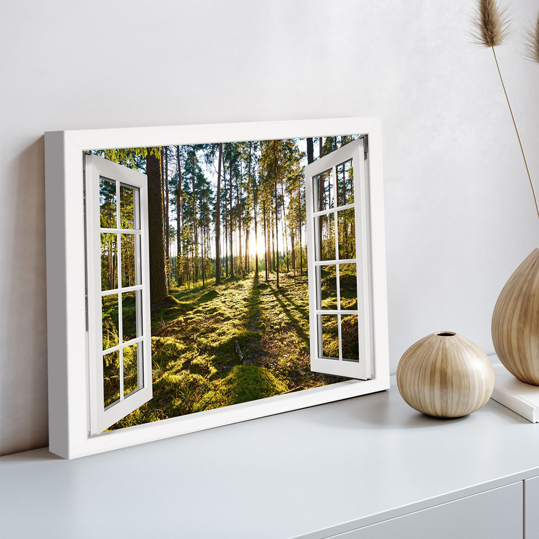 Leinwandbild – Sonnenaufgang im Kiefernwald Fenster