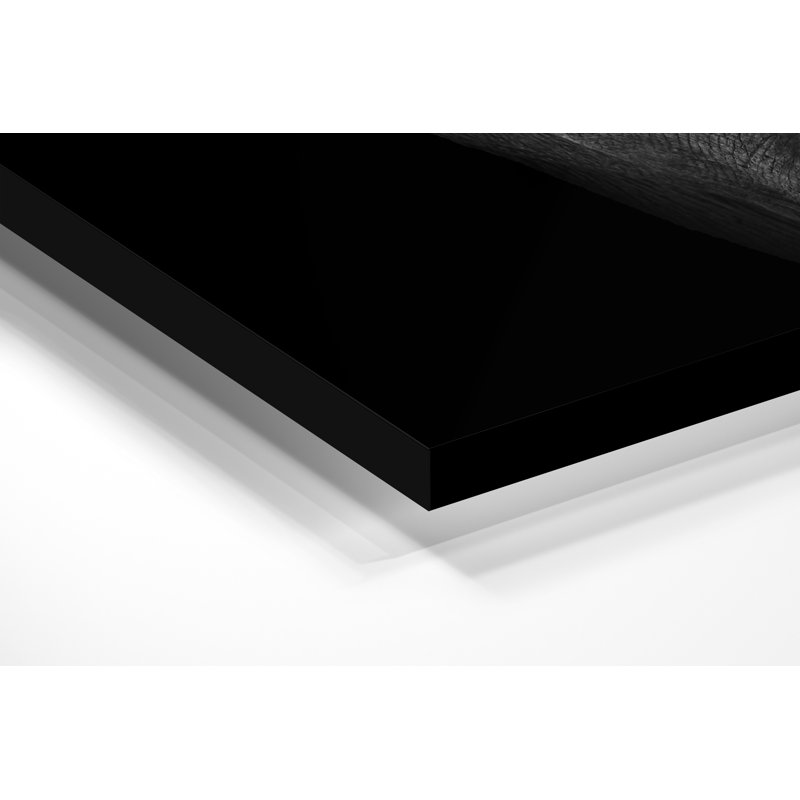 Décoration murale éléphant en acrylique en noir et blanc, L 16 po x H 20 po