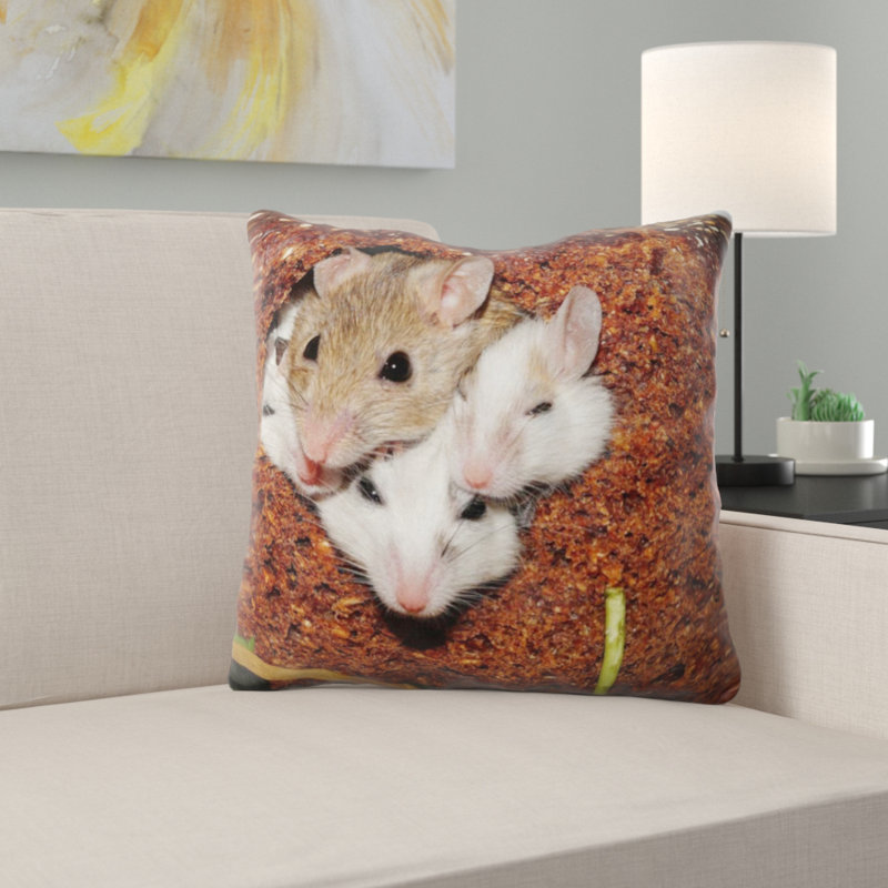 Coussin mastomys