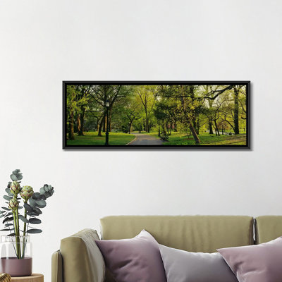 «Panoramic Trees in a Park, Central Park, New York City, New York State», reproduction de photo sur toile tendue