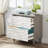 2-Drawer File Cabinet, Lateral Filing Cabinet For A4/Letter/Legal Size, Office Storage Cabinet, Printer Stand With Storage Drawer For Home Office, White & Gray