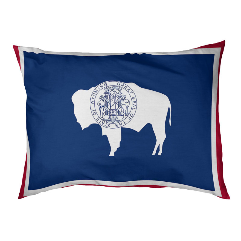Coussin stylisé wyoming flag Burien, L 19,5 po x l 29,5 po, Noir