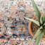 Oriental Area Rug-956004093