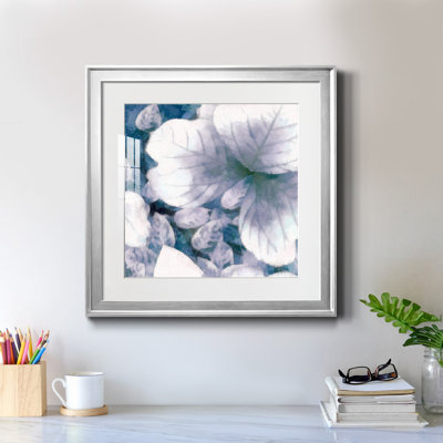 " Sail The Seas Collection TP "