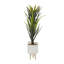 Plante grasse artificielle en pot-97092335