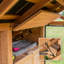 Chenil d'extérieur en bois de cèdre avec toit en acier galvanisé et porte d'alimentation facile d'accès Backyard Discovery Waggin