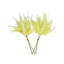 Fern Bundle (Set of 2)-214120562