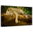 Brampt Pantanal Jaguar-107853892