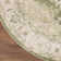 Haydel Oriental Machine Washable Power Loom Polyester Area Rug in Ivory/Green