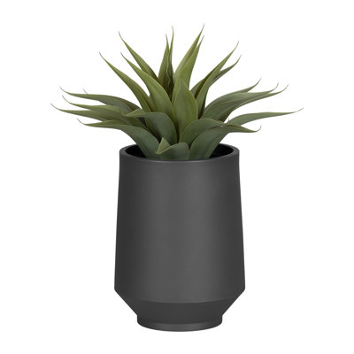 Dalya Pot Planter
