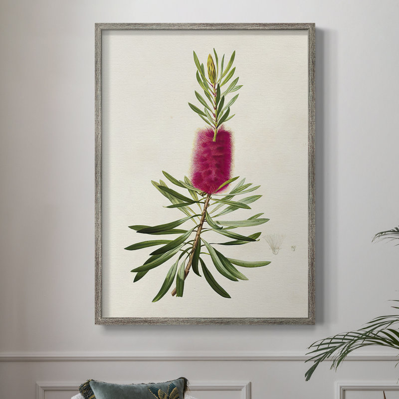 «Pretty Pink Botanicals VII», reproduction encadrée - bois massif, H 30 po x l 24 po