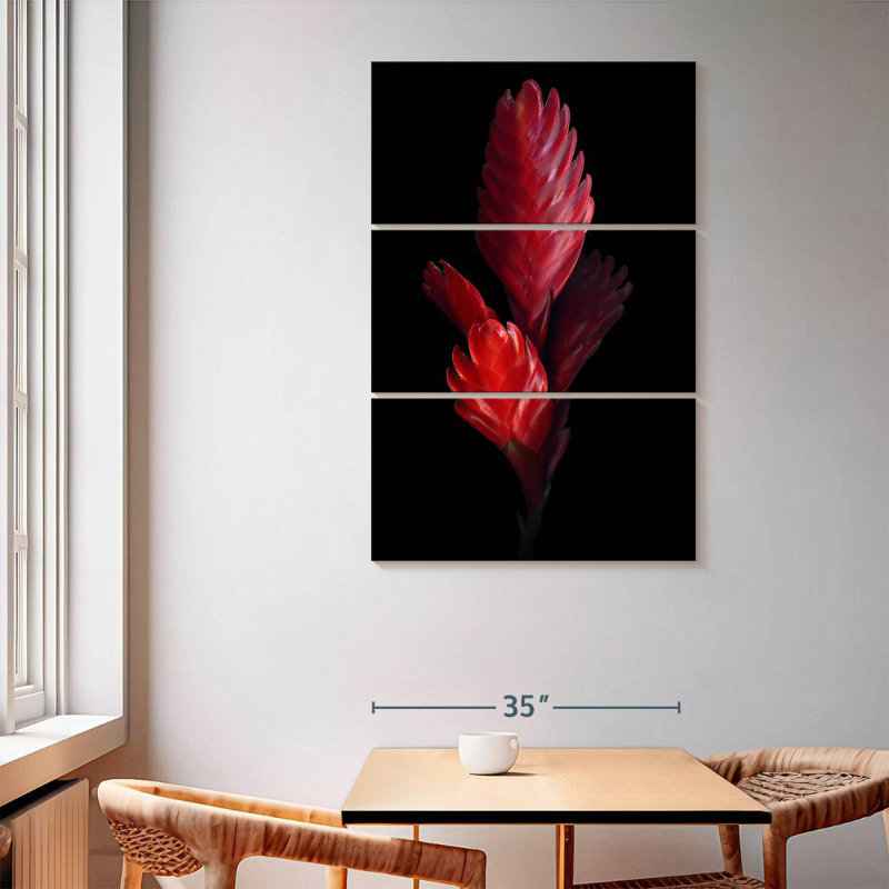Harnek Bromeliad, 65" H x 42" W