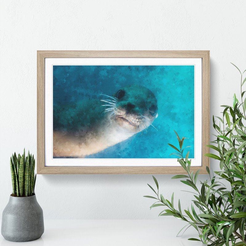 Face of a Seal - Framed Print, Oak Framed, 36cm H x 48cm W x 2cm D