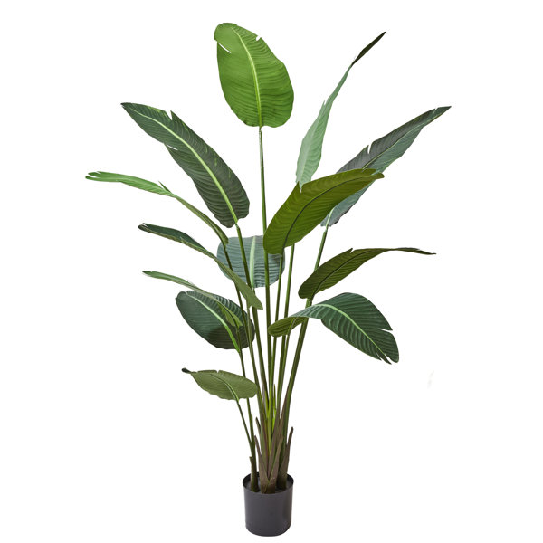 83'' Faux Banana Tree in Pot & Reviews | AllModern