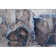 Premium Machine Washable Cerrito Amf525 Navy Rug