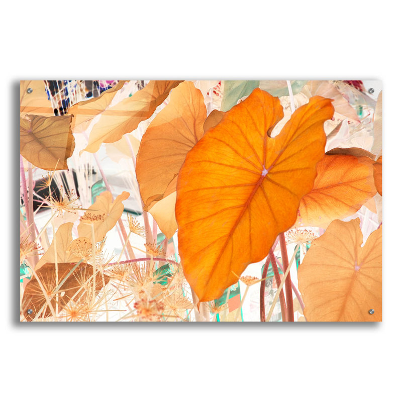 «Elephant Ears» par Judy Stalus, H 24 po x l 36 po x P 0,2 po