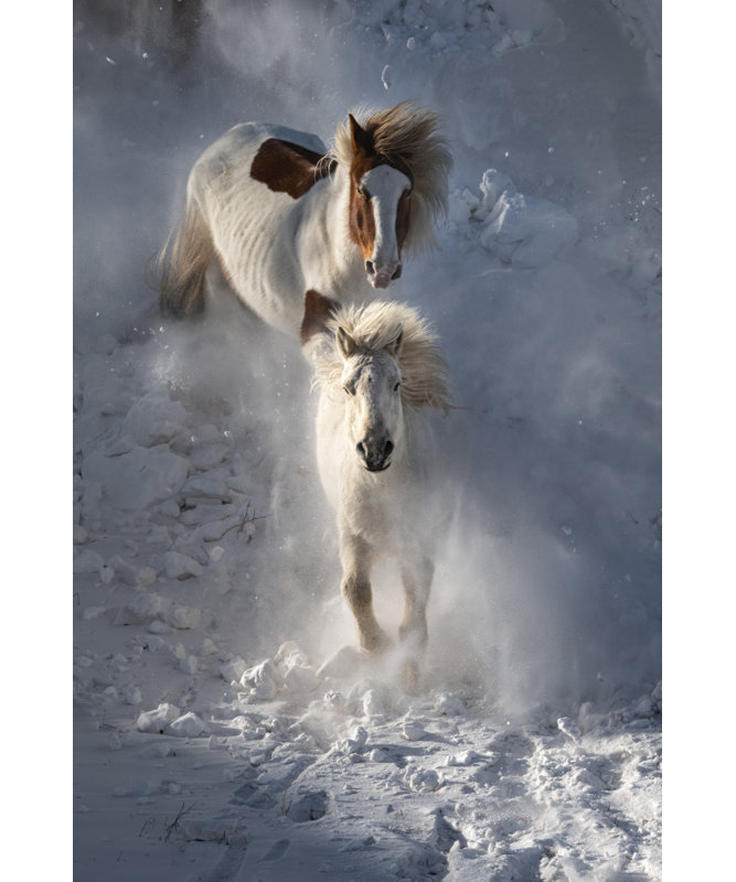 Wrapped Canvas Print, 91.44cm H x 60.96cm W