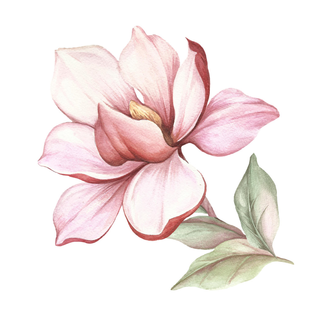 Magnolien-Illustration von Oksana Hlianko - Gemälde auf Leinwand