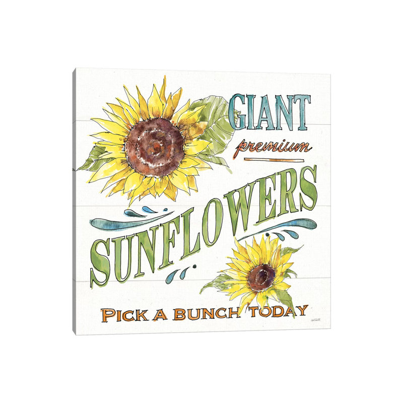 Sunflower Fields IV by Anne Tavoletti - Wrapped Canvas Print, 45.72 cm H x 45.72 cm W