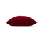 Lush Velvet Performance Pillow Cover & Insert-398987058-398987059
