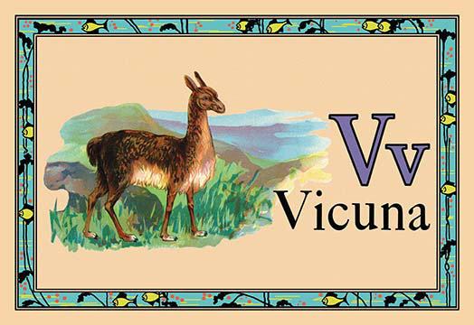 Impression vicuna