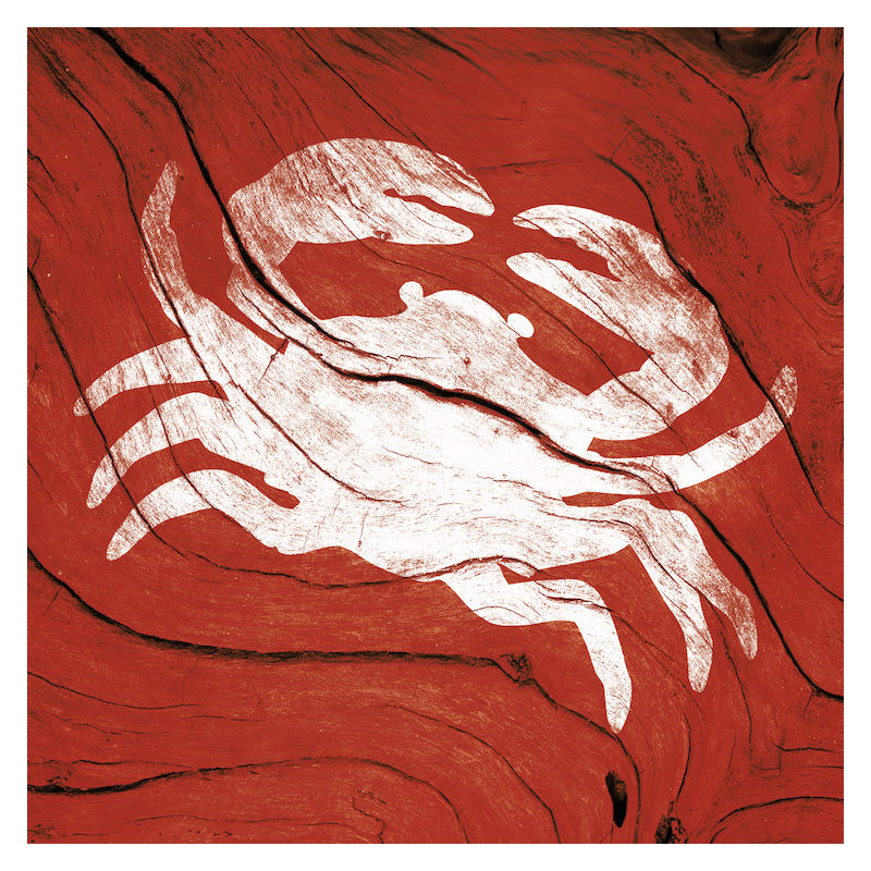« crab », impression sur toile, H 12 po x l 12 po x P 1,5 po