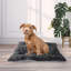 Tapis pour chien Telscombe-498570914