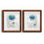 Dahlia - ensemble de 2 reproductions d'art-549049840-549049845-549049842